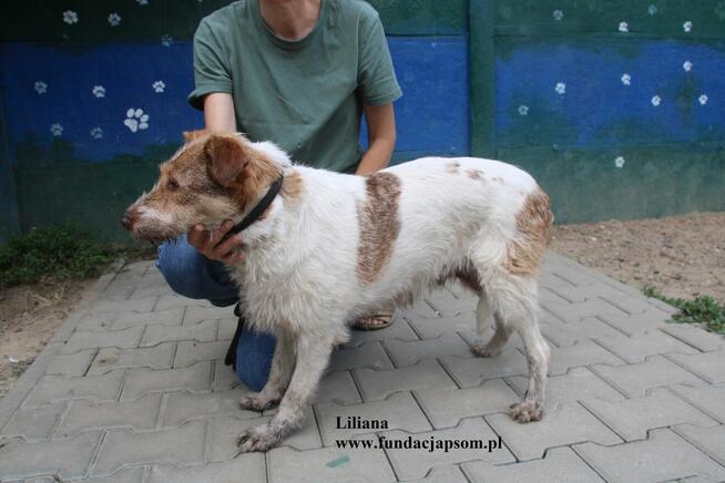 Liliana szuka nowego domku