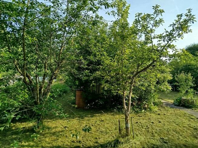 Sprzedam działkę rod