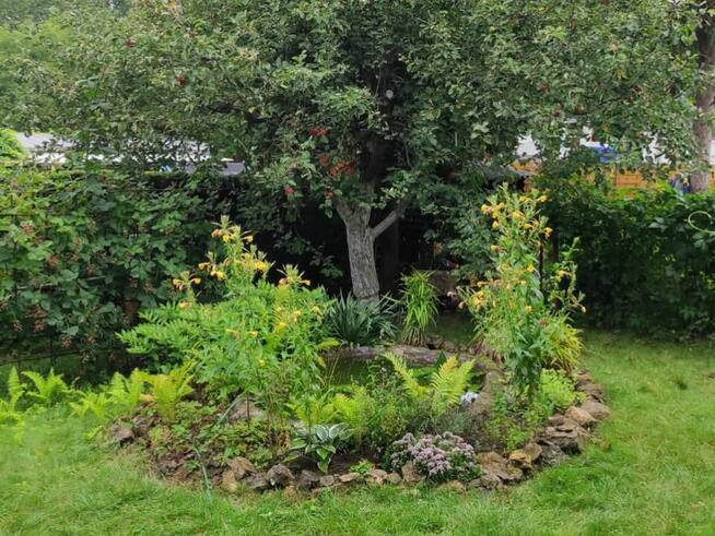 Ogród działkowy ROD 230m Będzin Górki Małobądzkie