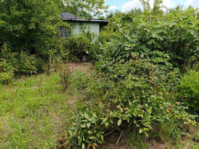 Działka ROD Sasanka Warszawa