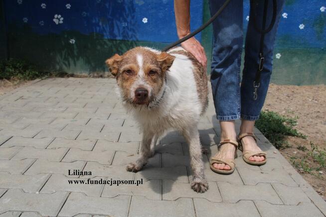 Liliana szuka nowego domku