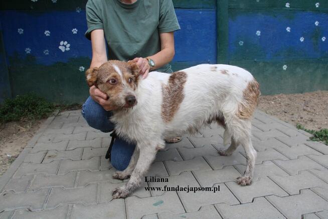 Liliana szuka nowego domku