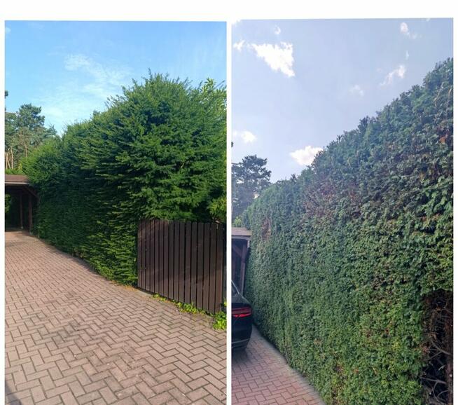 Usługi pielęgnacji ogrodów