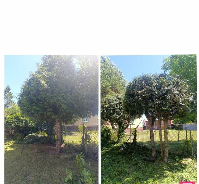 Usługi pielęgnacji ogrodów