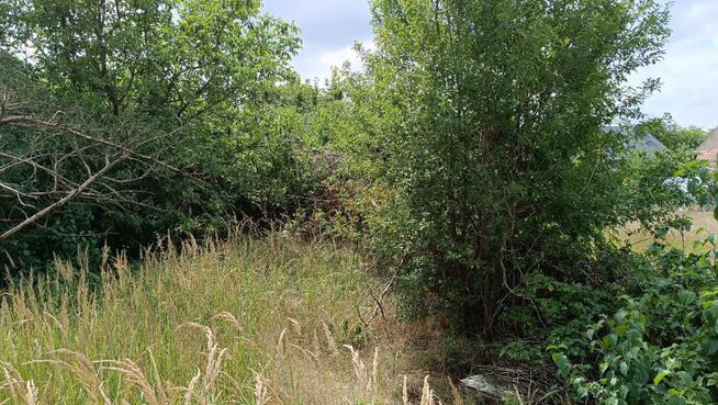 Działka budowlana Kotowice gm. Siechnice