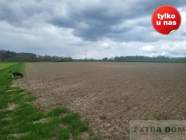 Działka Dębice