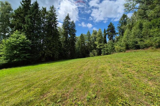 Działka budowlana z widokiem i lasem – Naprawa