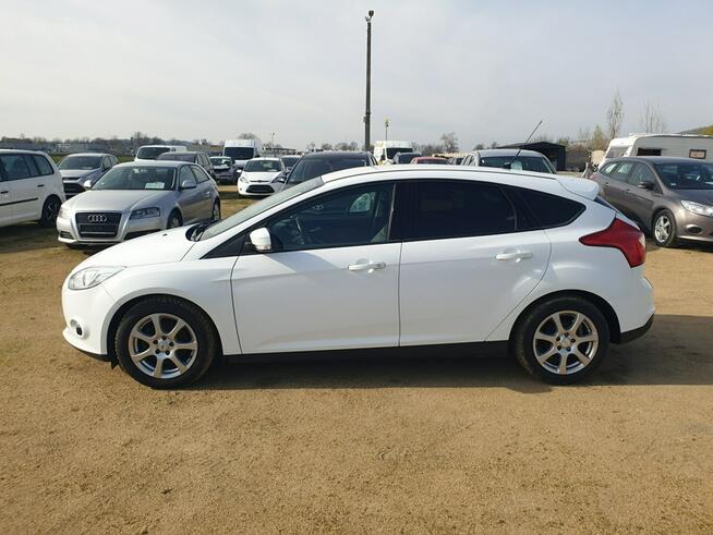 Ford Focus 1.6 100 Km Klimatronik, Elektryka, Zadbany