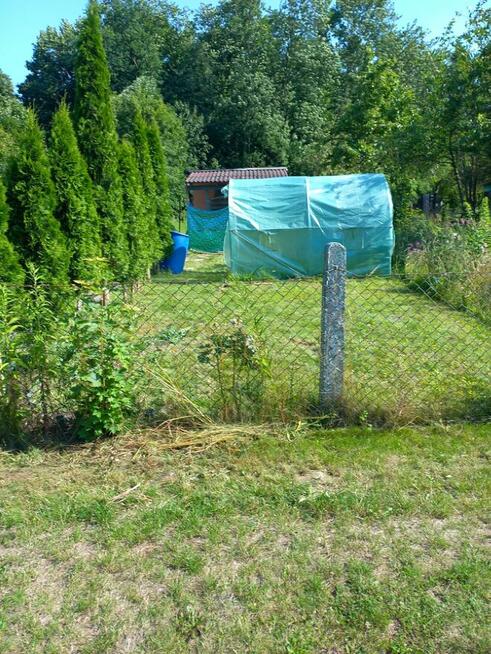 Odstąpienie prawo do dzierżawy działki