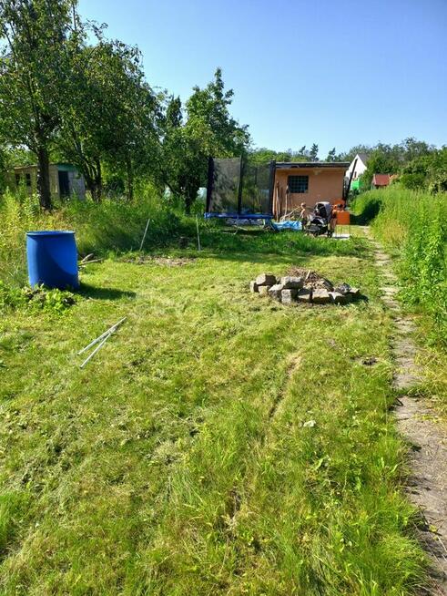 Odstąpienie prawo do dzierżawy działki