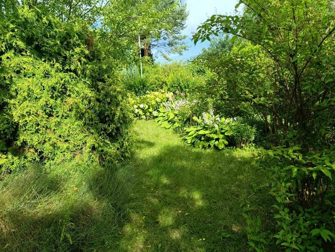 Działka ROD Sasanka Warszawa