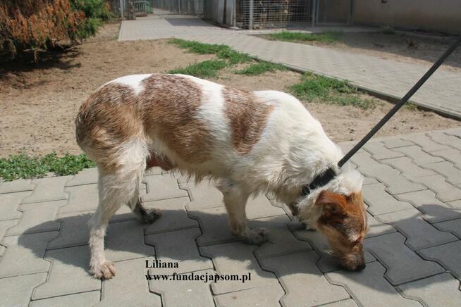 Liliana szuka nowego domku