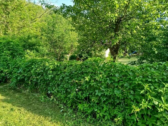 Sprzedam działkę rod