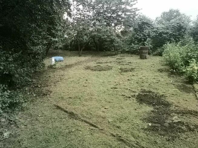 Działka ROD, możliwość negocjacji