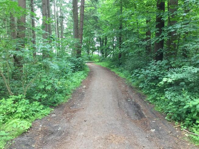 Wynajmę działkę dla 6 kamperów nad morzem w Dziwnówku / week