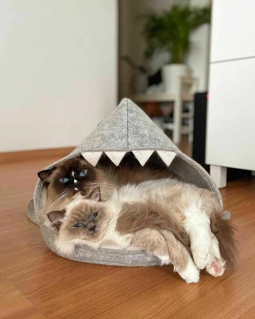 Legowisko Pirania Filc Jasnoszary