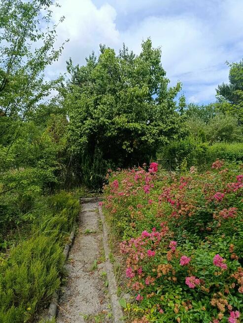 Działka ROD Sasanka Warszawa