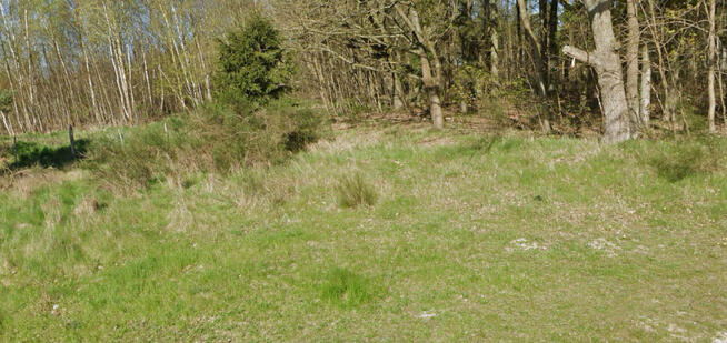 Wynajmę działkę 4ar - Dziwnówek, pod działalność.