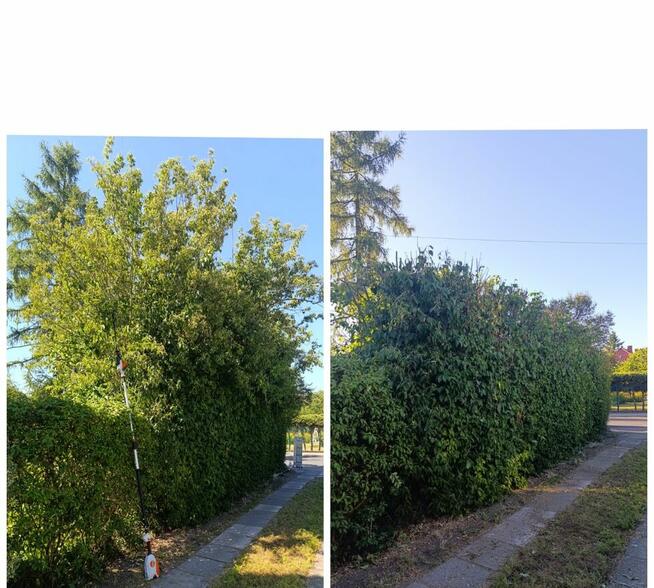 Usługi pielęgnacji ogrodów