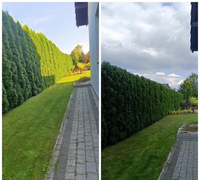 Usługi pielęgnacji ogrodów