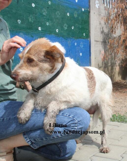 Liliana szuka nowego domku