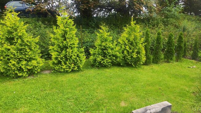 Sprzedam dzialke rod