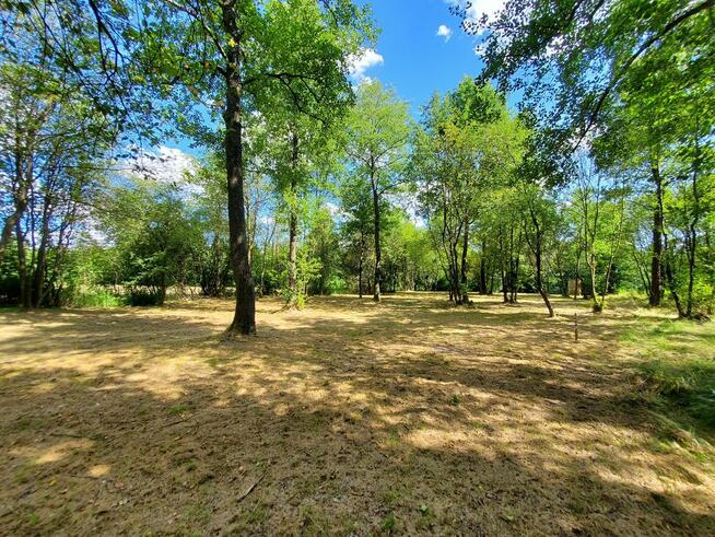 Działka rekreacyjna 30 arów nad rzeką lubaczówka.