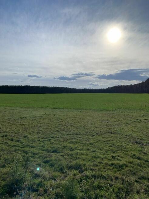 Wołów - okolice, działka inwestycyjna