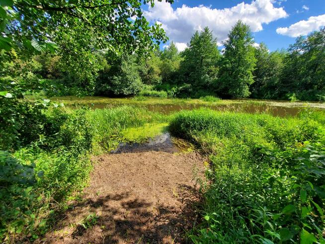 Działka rekreacyjna 30 arów nad rzeką lubaczówka.