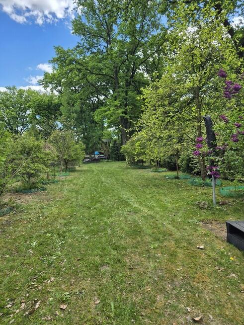 Klimatyczny domek przy Bugu na końcu świata