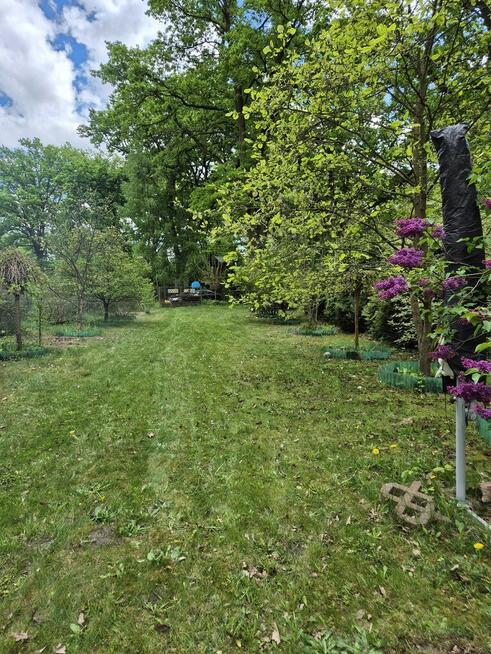 Klimatyczny domek przy Bugu na końcu świata