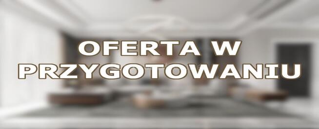 dz produkcyjno-usługowa bud wielkopowierzchniowe