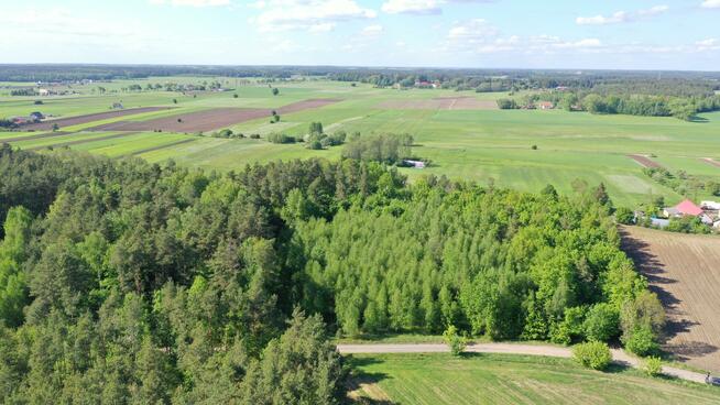 Działka leśna Stary Cydzyn gm. Piątnica