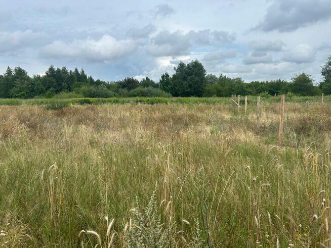 Działka budowlana Poznań gm. Poznań-Stare Miasto Radojewo,