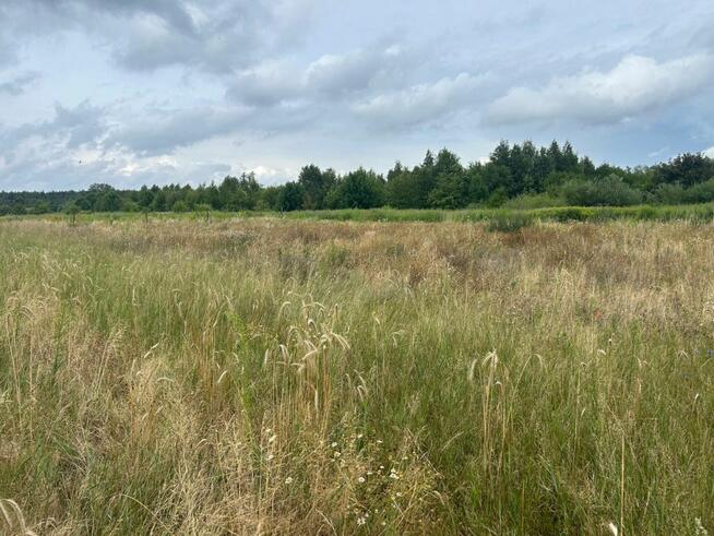 Działka budowlana Poznań gm. Poznań-Stare Miasto Radojewo,