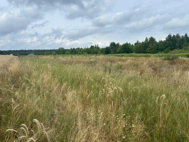 Działka budowlana Poznań gm. Poznań-Stare Miasto Radojewo,