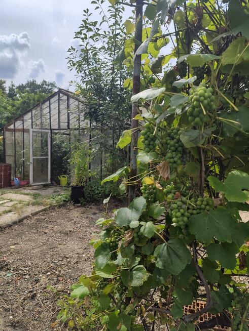 Działka rolna Legnica, Spokojna