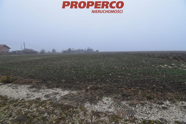 Działka Jędrzejów Potok Mały