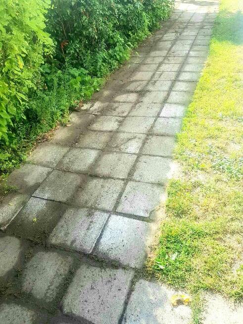 Odchwaszczarka do kostki płytek chodnika PROFESJONALNA