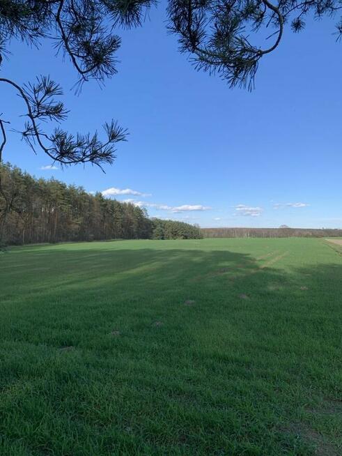 Wołów - okolice, działka inwestycyjna