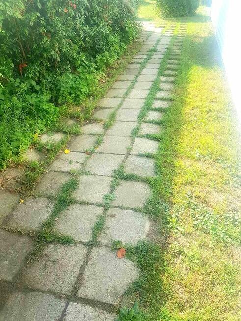 Odchwaszczarka do kostki płytek chodnika PROFESJONALNA