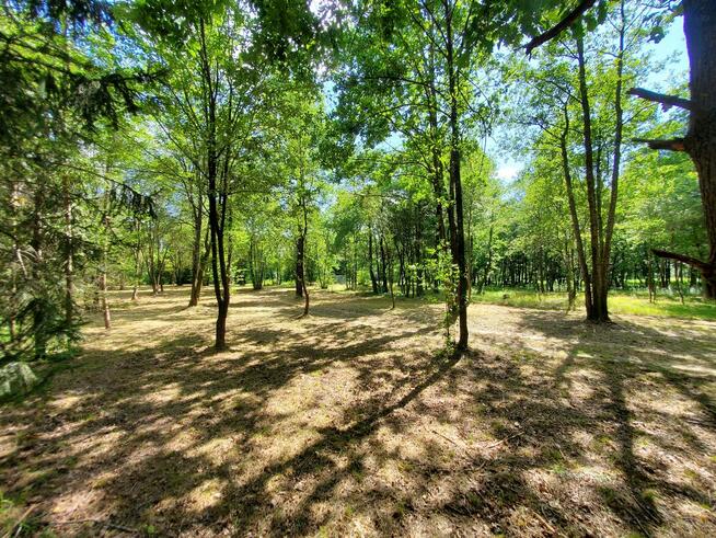 Działka rekreacyjna 30 arów nad rzeką lubaczówka.