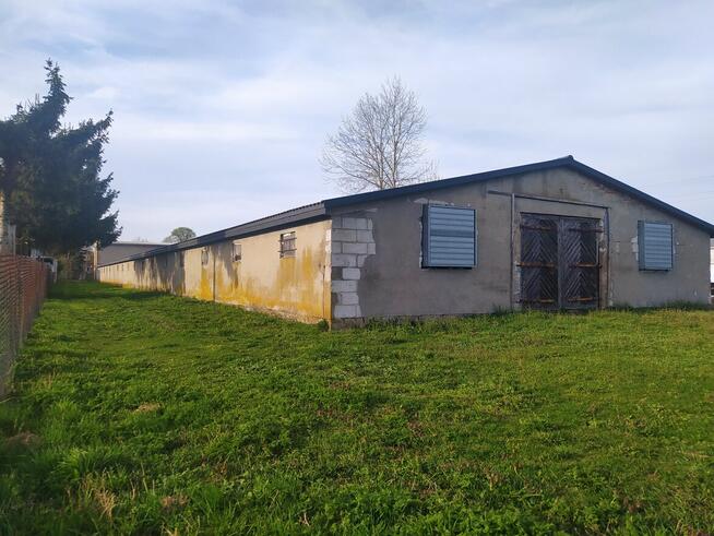 Działka inwestycyjna na sprzedaż. Magazyn, hala, kurnik.