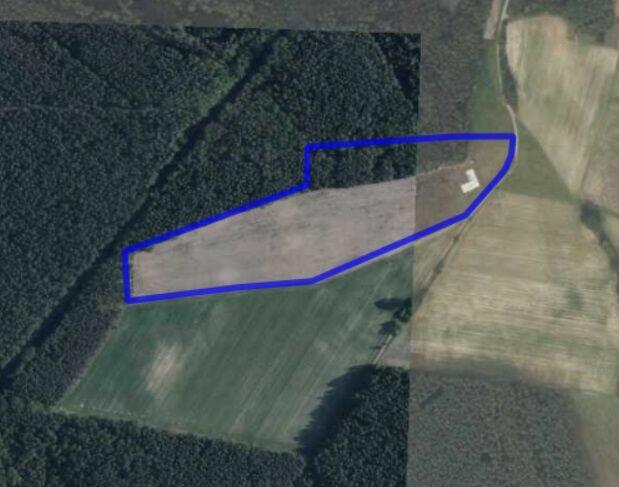 Wołów - okolice, działka inwestycyjna