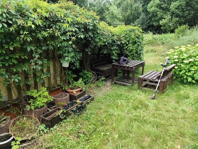 Działka kozanów Wrocław 380m dzierżawa