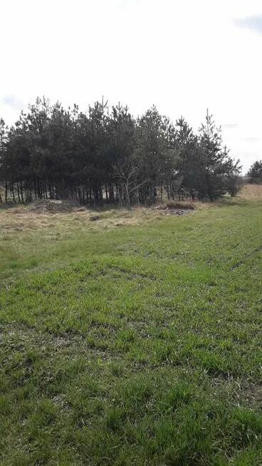 Nieruchomość Miejscowość Dobrzyń Gmina Lubsza opolskie 0.6h