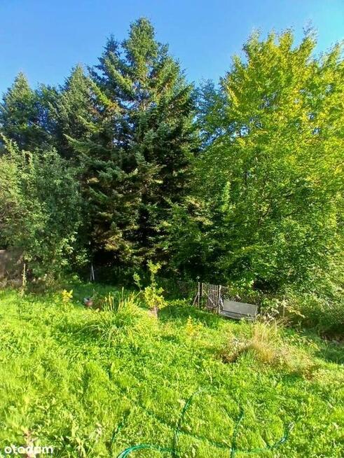 Dom z potencjałem, las, góry, blisko centrum