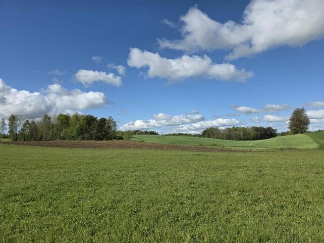 Syndyk sprzeda nieruchomość gruntową