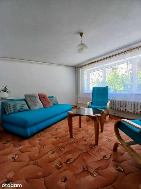 Dom z potencjałem, las, góry, blisko centrum