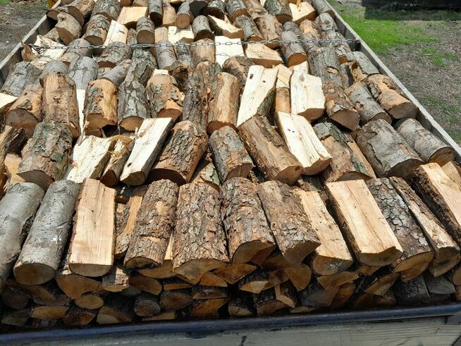 Drewno kominkowe